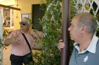 Clicca sulla foto per vedere ingrandimento